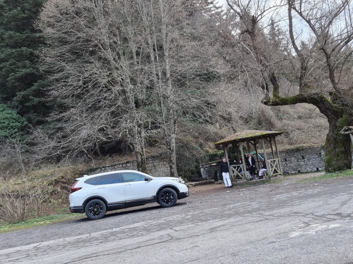 Honda CRV: Εκδρομή στο Δυτικό Μαίναλο!