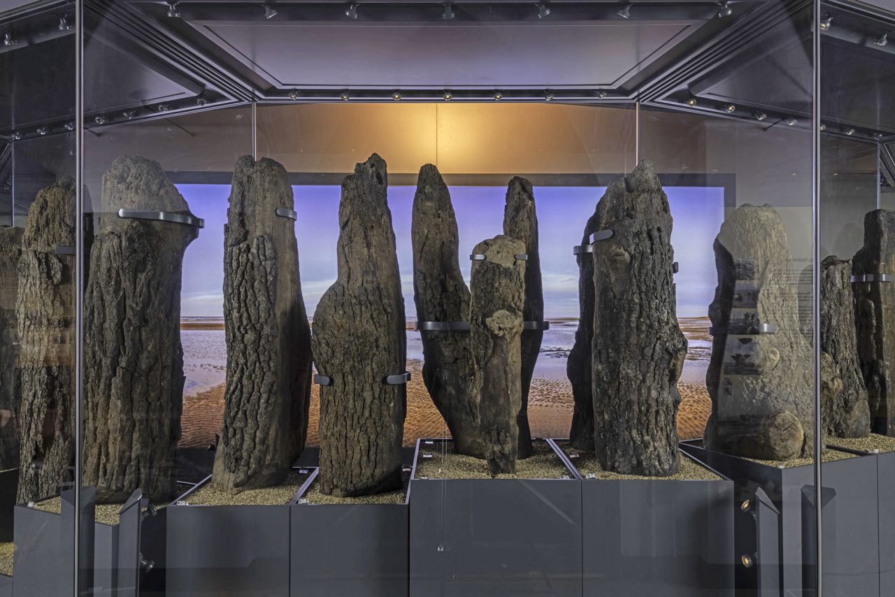 Βρετανικό Μουσείο: Κορμοί βελανιδιάς που αποτελούσαν το Σίχεντζ, όπως έχουν διασωθεί σήμερα