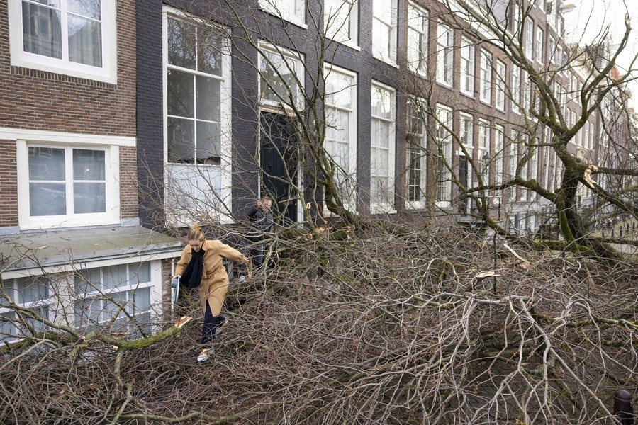 πεσμένα δέντρα στο Άστερνταμ από την καταιγίδα Γιούνις