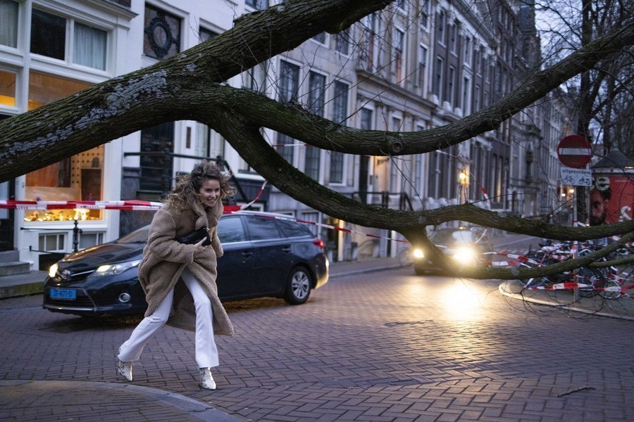 Γυναίκα στο Άμστερνταμ περνά κάτω από πεσμένο δέντρο από την κακοκαιρία Γιούνις