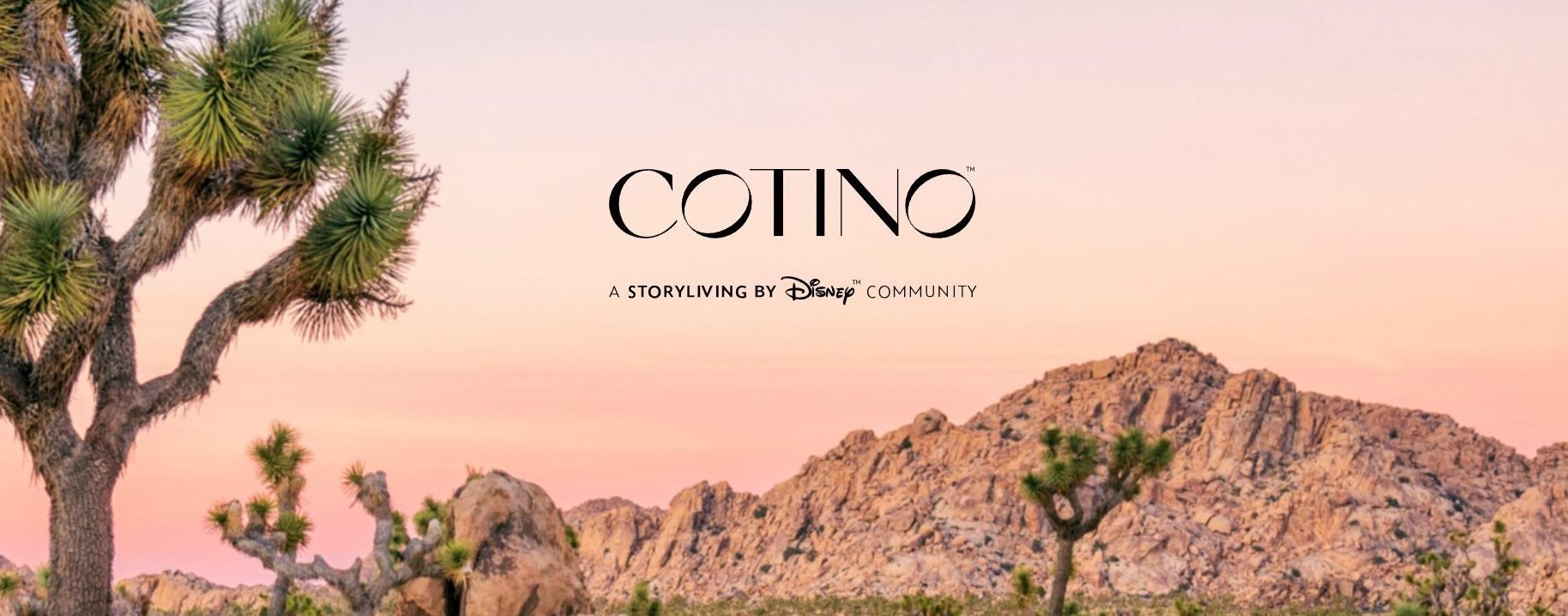 Το Cotino αποτελεί το πρώτο project του Storyliving by Disney