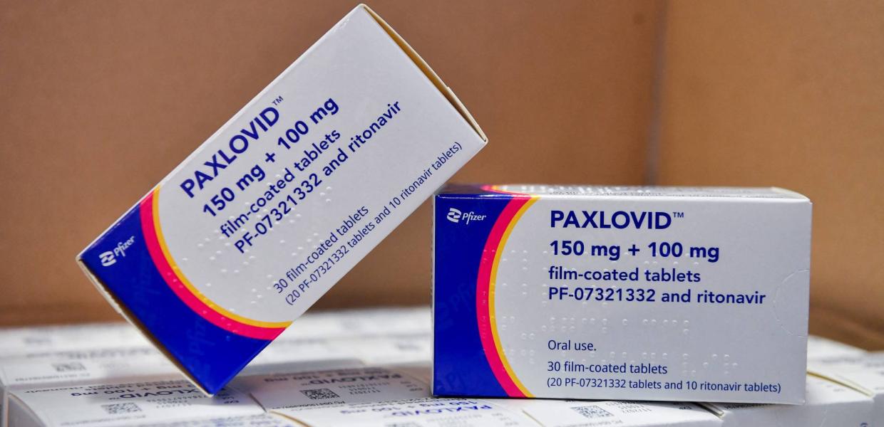 Paxlovid, Pfizer