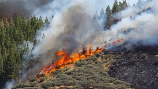 Meteo: Σημαντικά αυξημένες οι δασικές πυρκαγιές στην Ελλάδα το α’ τρίμηνο του 2022