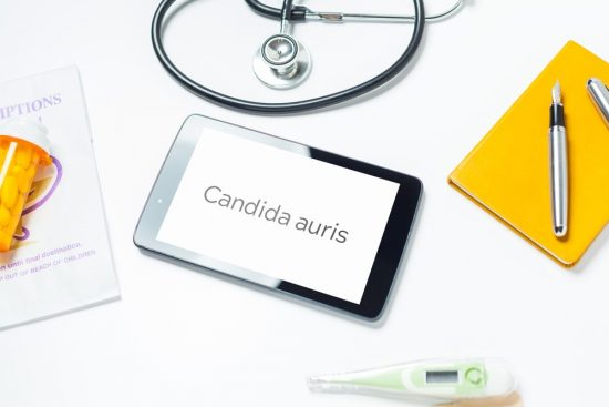 Candida auris: Γιατί προκαλεί αυξημένη ανησυχία, πού ανιχνεύεται, πώς θα περιοριστεί