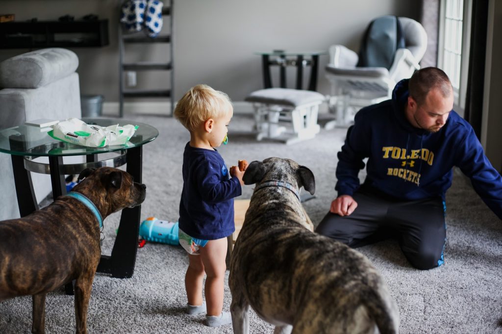 Μπαμπάς και παιδί στο σαλόνι μαζί με δύο σκυλιά - Οξεία ηπατίτιδα σε παιδιά: Βρέθηκε πιθανός παράγοντας κινδύνου
