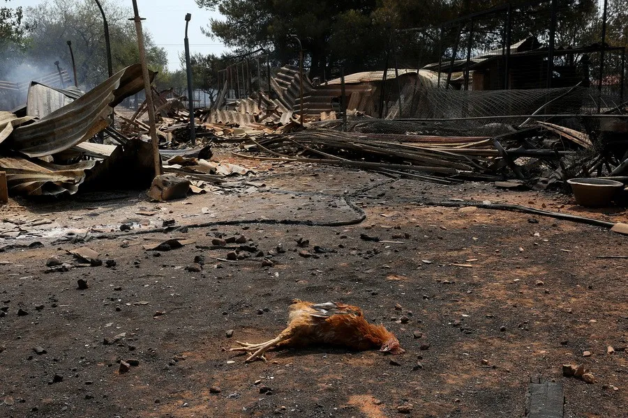 Πόρισμα σοκ για την φωτιά στη Βαρυμπόμπη - Πώς έγιναν στάχτη 100.000 στρέμματα δάσους