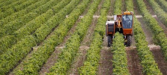 ΕΛΓΑ: Αύριο οι αποζημιώσεις σε παραγωγούς Άρτας-Αργολίδας για καταστροφές από παγετό το 2022