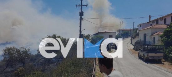 Πυρκαγιά στον Κρεμαστό Ευβοίας κοντά σε κατοικημένη περιοχή – Ισχυροί άνεμοι πνέουν στην περιοχή