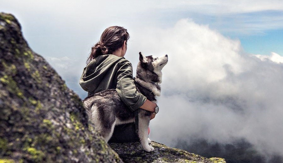 Μια γυναίκα με ένα χάσκι σκύλο στα βουνά