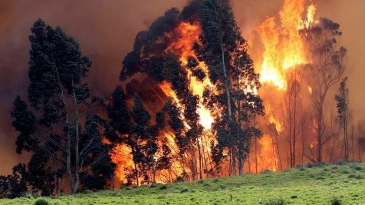 Η κλιματική αλλαγή θα αυξήσει τα επόμενα χρόνια τις δασικές πυρκαγιές παγκοσμίως