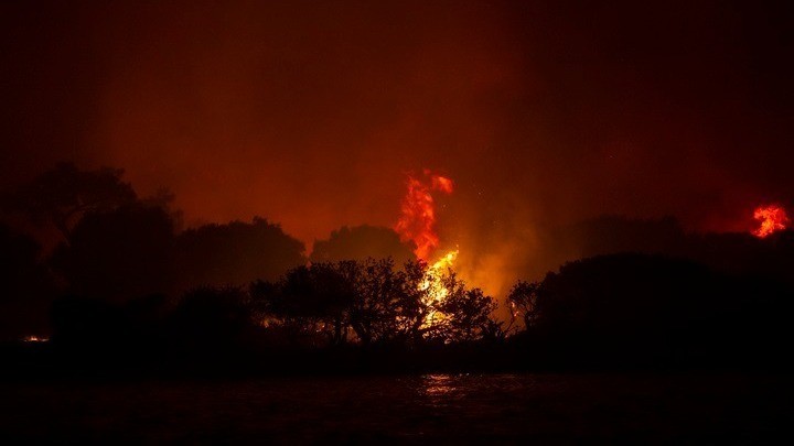 Ολονύχτια μάχη με τις φλόγες στην Ηλεία - Εκκενώθηκαν τρεις οικισμοί