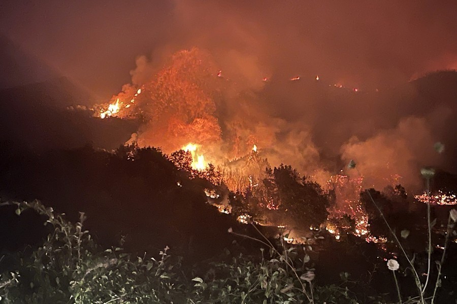 Φωτιά καίει δέντρα στον οικισμό Κοτρώνα, Αγραπιδοχωρίου Ηλείας