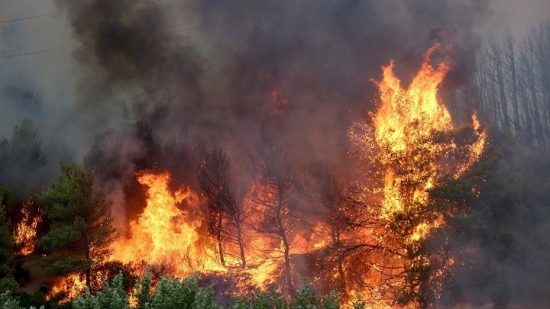 Αναζωπυρώσεις στην Ηλεία