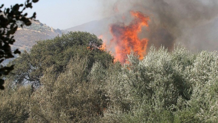 Σπάρτη: Φωτιά στην περιοχή Καλύβια του Γυθείου