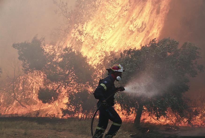 πυροσβέστης επιχειρεί σε δασική πυρκαγιά