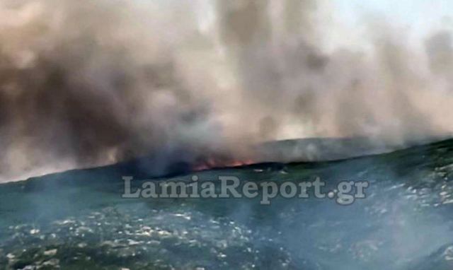 Λαμία: Συνεχίζει να καίει η πυρκαγιά στο Πετρωτό Δομοκού