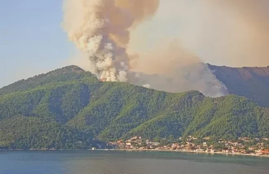 Ναύπακτος: Φωτιά σε εξέλιξη στην περιοχή Αφροξυλιά