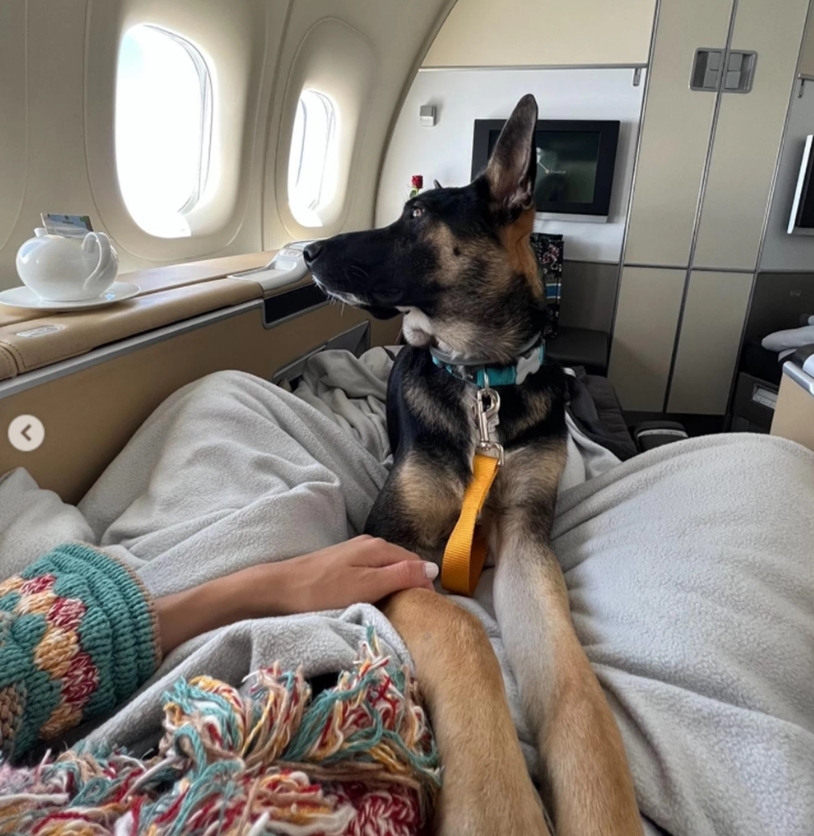 Μαζί με τον σκύλο της ταξιδεύει πρώτη θέση στο αεροπλάνο