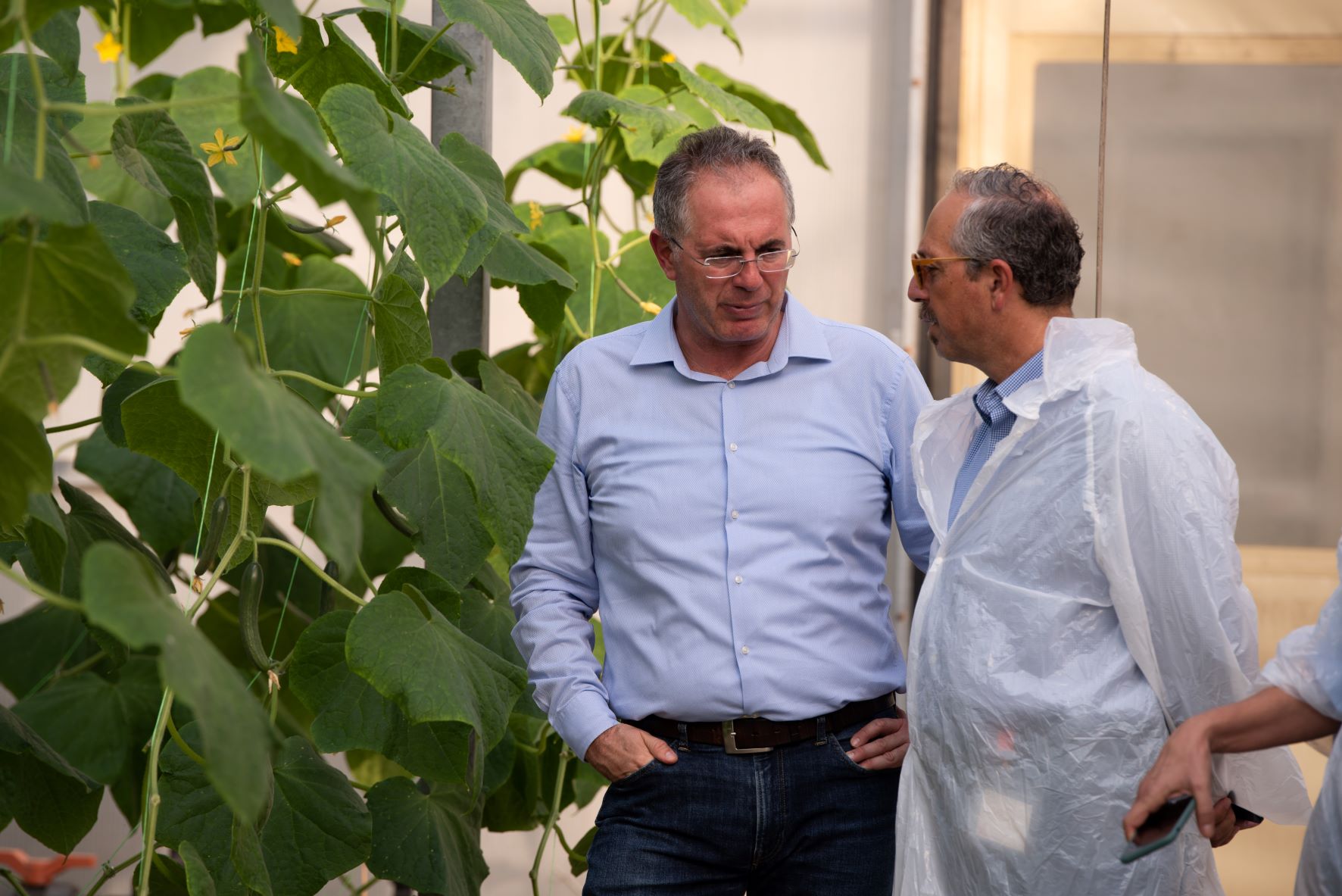 Θερμοκήπια Θράκης: Επίσκεψη ολλανδικής αποστολής στις εγκαταστάσεις της εταιρείας στη Θράκη στο πλαίσιο του Συνεδρίου «Farming the Future»
