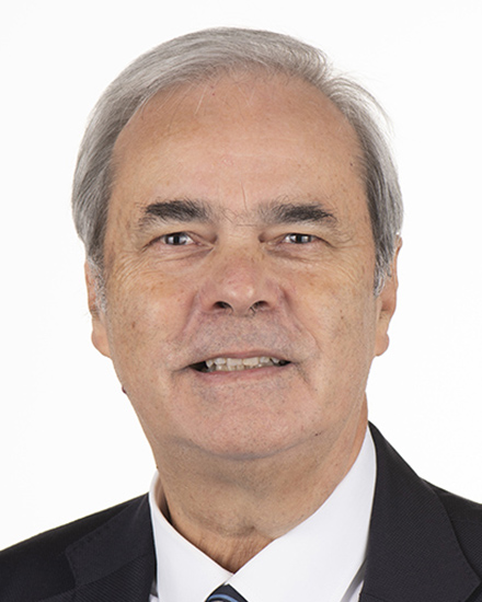 Ο επικεφαλής διαπραγματευτής Achille Variati, Ιταλός βουλευτής της κεντροαριστερής ομάδας S&D