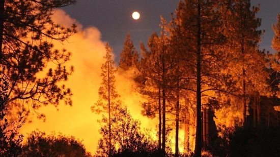 Ρεκόρ καμένων επιφανειών και εκπομπών άνθρακα στην ΕΕ το 2022