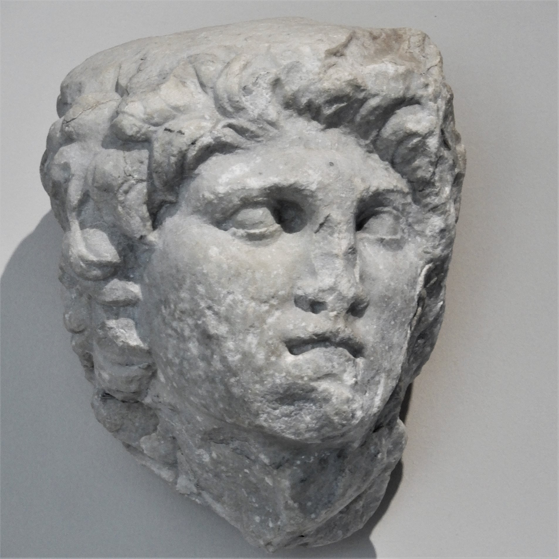 Κεφαλή του Μεγάλου Αλεξάνδρου που εκτίθεται στο Πολυκεντρικό Μουσείο Αιγών