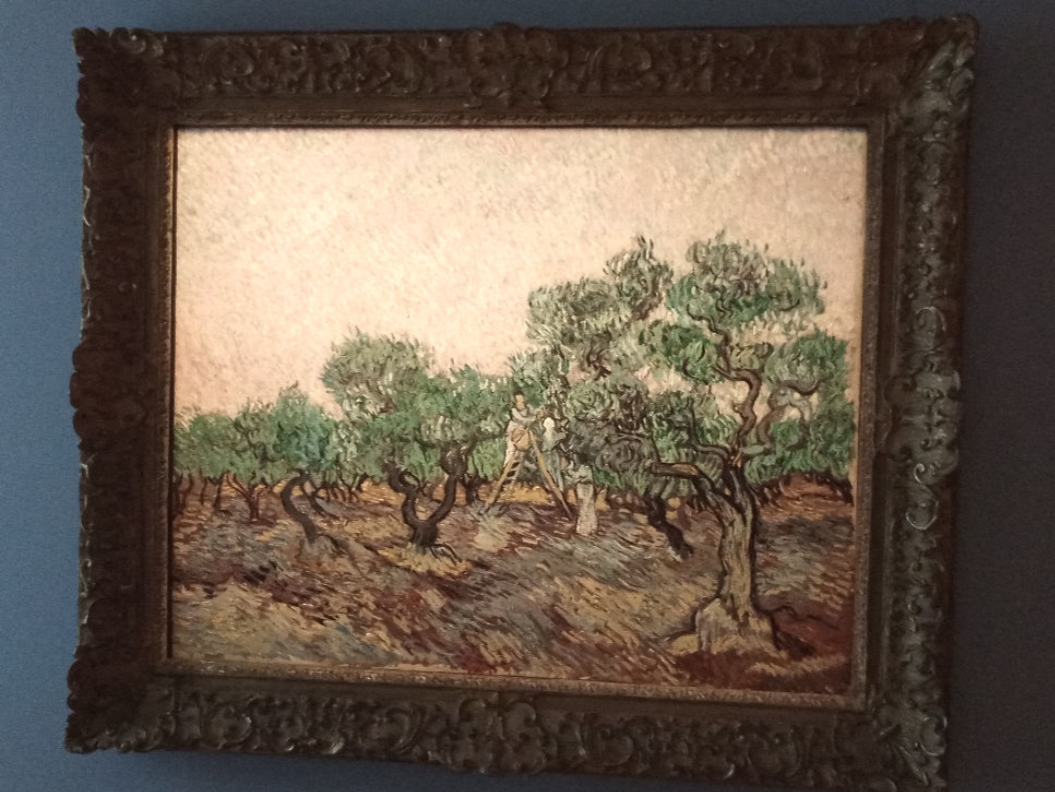 Ο πίνακας του Βίνσεντ βαν Γκογκ «Το μάζεμα της ελιάς» του 1889