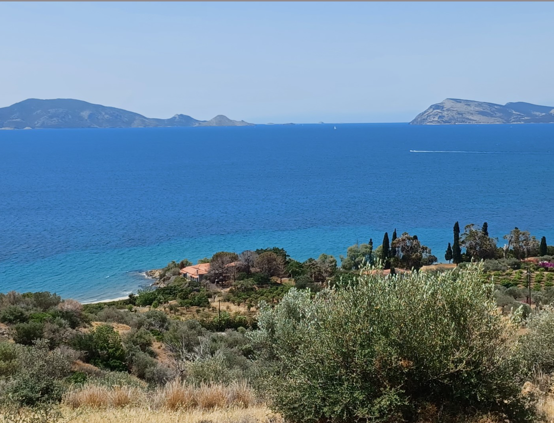 Οφειλέτιδες είναι οι Ελληνικαί Ξενοδοχειακαί Τουριστικαί και Γεωργικαί Επιχειρήσεις Garden Beach και Διευρωπαική Ελληνική Εταιρεία Επενδύσεων