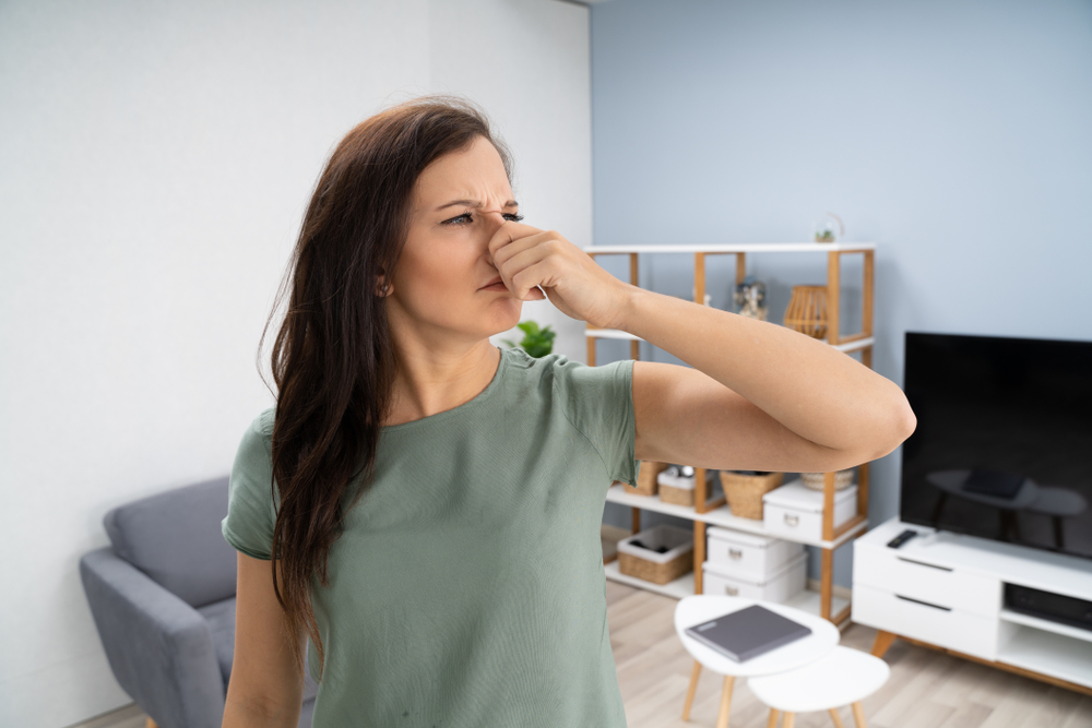 16 σημεία που παγιδεύουν άσχημες μυρωδιές στο σπίτι