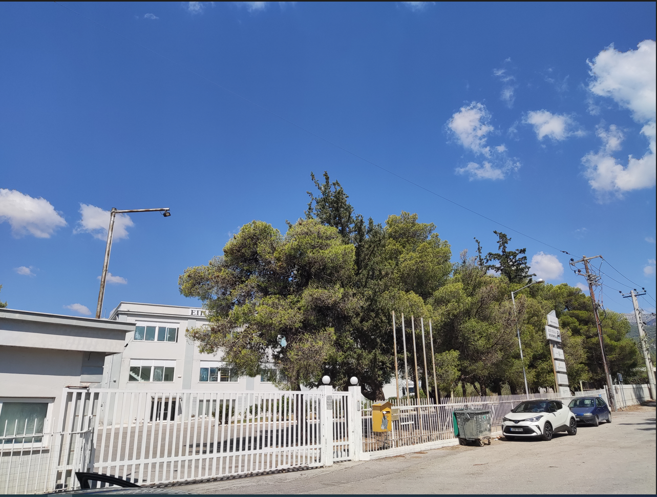 Οικογένεια Δοντά: Το success story μιας κλωστοϋφαντουργίας & ένα χαμένο στοίχημα