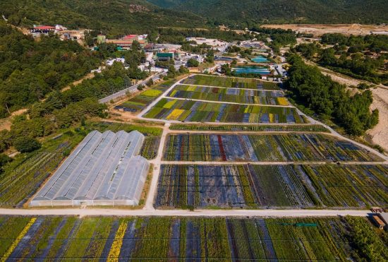 Η υιοθέτηση των ESG κριτηρίων ως επενδυτική προτεραιότητα των μεταλλευτικών επιχειρήσεων