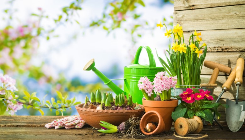 7 λάθη που πρέπει να αποφύγετε όταν προετοιμάζετε τον κήπο σας για την άνοιξη