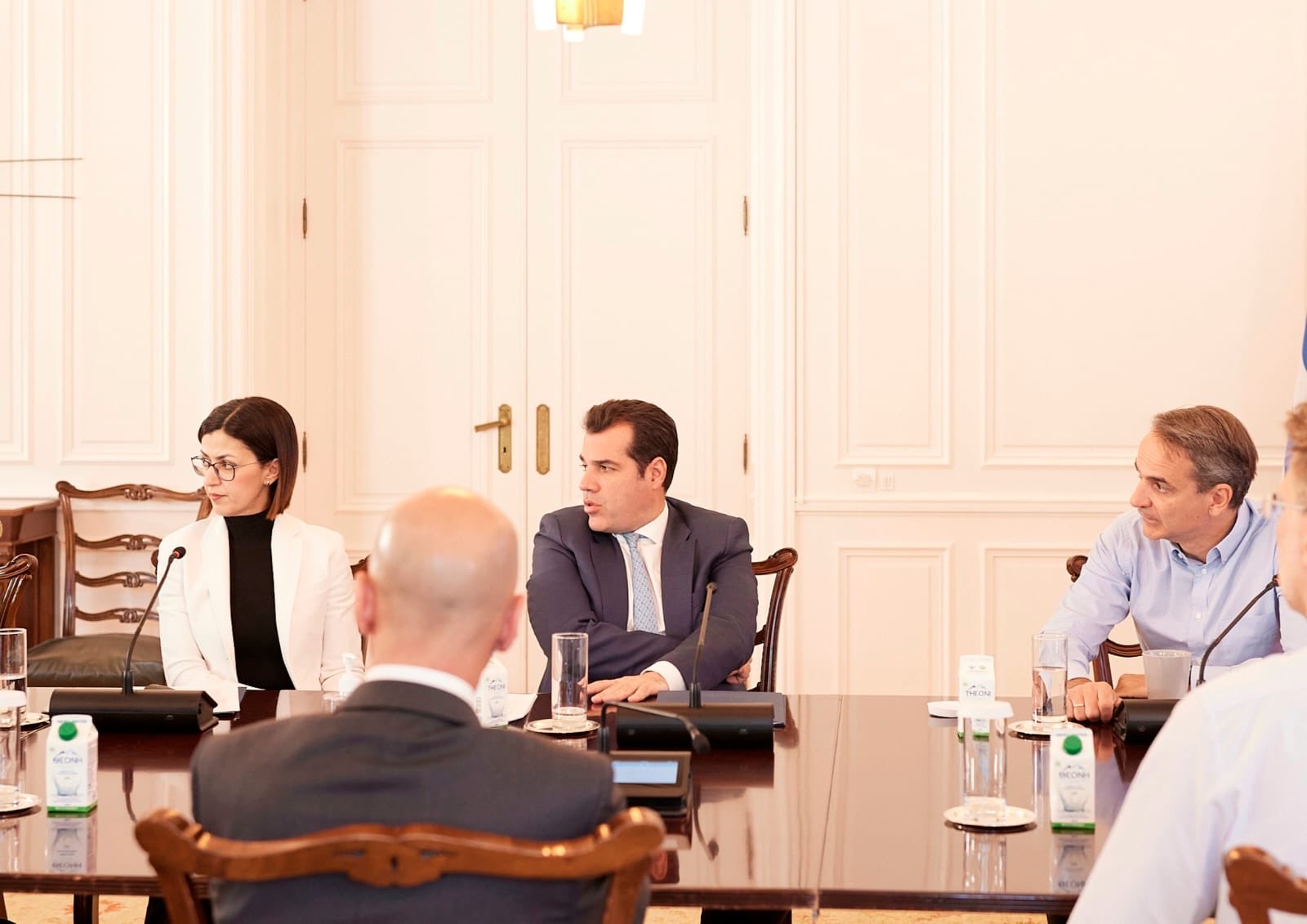 Πλεύρης για Ειρήνη Αγαπηδάκη: «Εξαιρετική επιλογή»