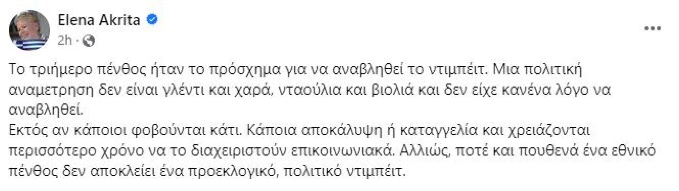 Η ανάρτηση της Έλενας Ακρίτα