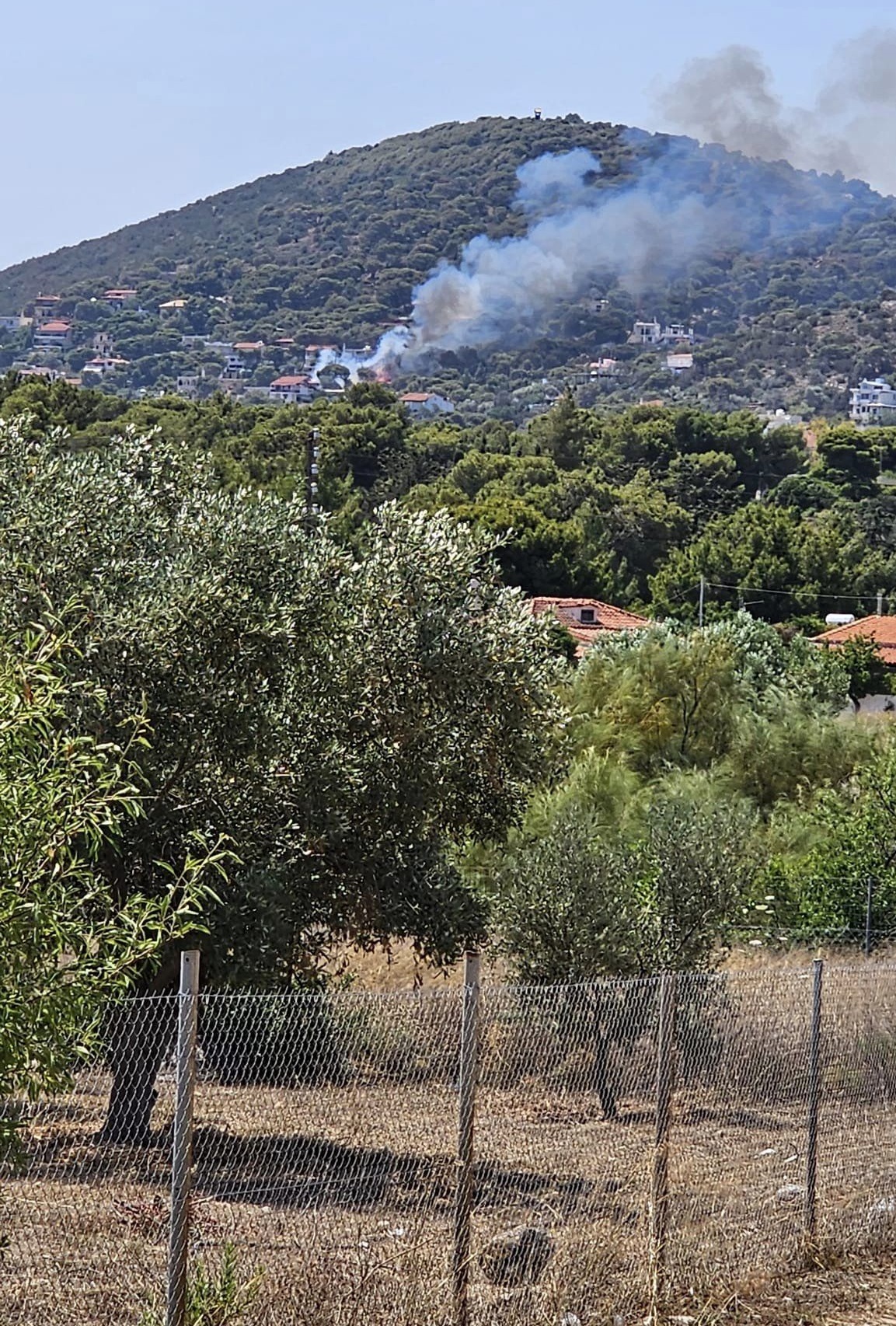 Πυρκαγιά ξέσπασε στον Άγιο Ιωάννη, στην Αρτέμιδα