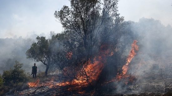Σε εξέλιξη φωτιά στην Ηράκλεια της Αρχαίας Ολυμπίας