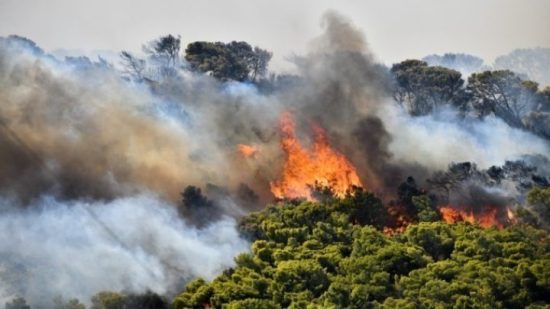 Φωτιά στη Χρυσοκελλαριά Μεσσηνίας