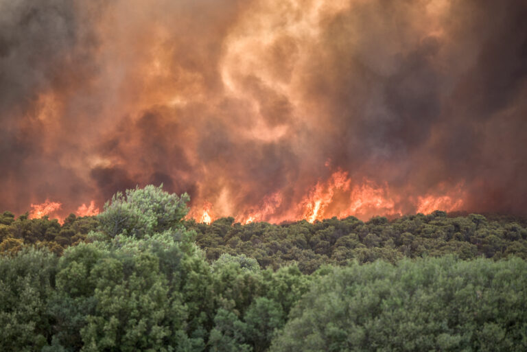 Στιγμιότυπο από την πυρκαγιά κοντά στο χωριό Πουρνάρι, στην περιοχή της Μαγούλας (18 Ιουλίου 2023) | Photo by Spyros BAKALIS / AFP