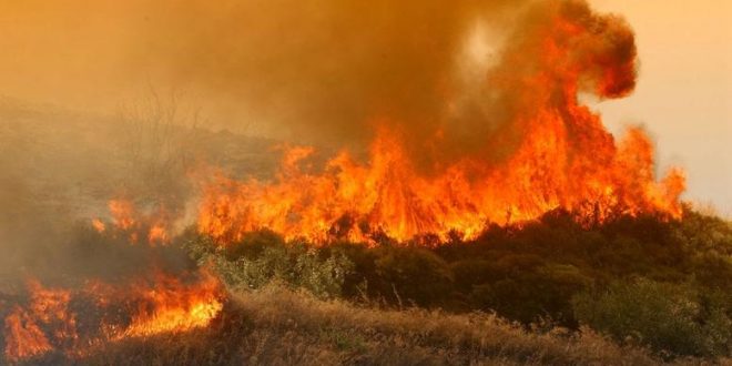 Μεγάλη πυρκαγιά σε δάσος στη Ρόδο