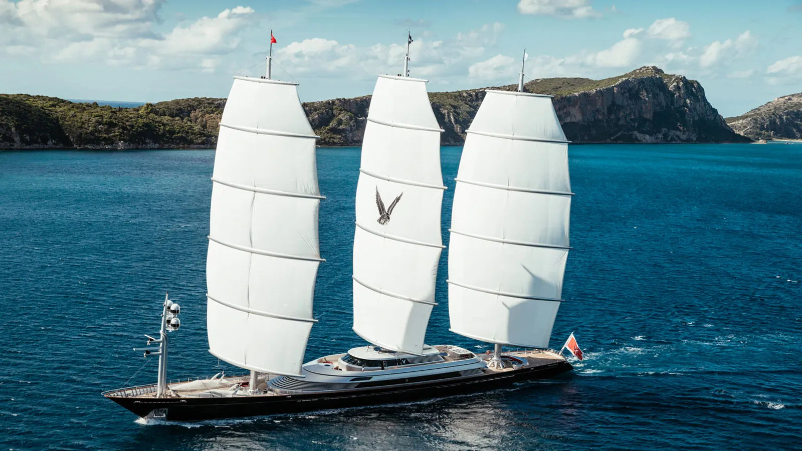 Maltese Falcon