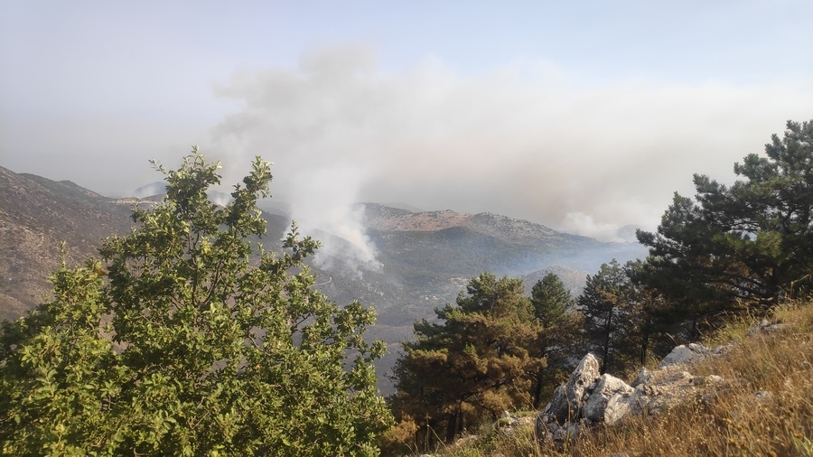 Καπνός από φλόγες που καίνε δέντρα σε πυρκαγιά στην Κέρκυρα, στην περιοχή της παλιάς Περίθειας φτάνοντας σε κοντινή απόσταση από το χωριό Λούτσες, την Τρίτη 25 Ιουλίου 2023. ΑΠΕ-ΜΠΕ/ΑΠΕ-ΜΠΕ/STR