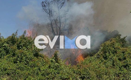 Υπό μερικό έλεγχο η φωτιά στην Κύμη Ευβοίας (upd)