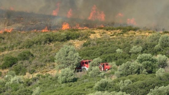 Meteo: Μέχρι τον Ιούλιο κάηκαν 30% περισσότερες εκτάσεις από τον ετήσιο μέσο όρο
