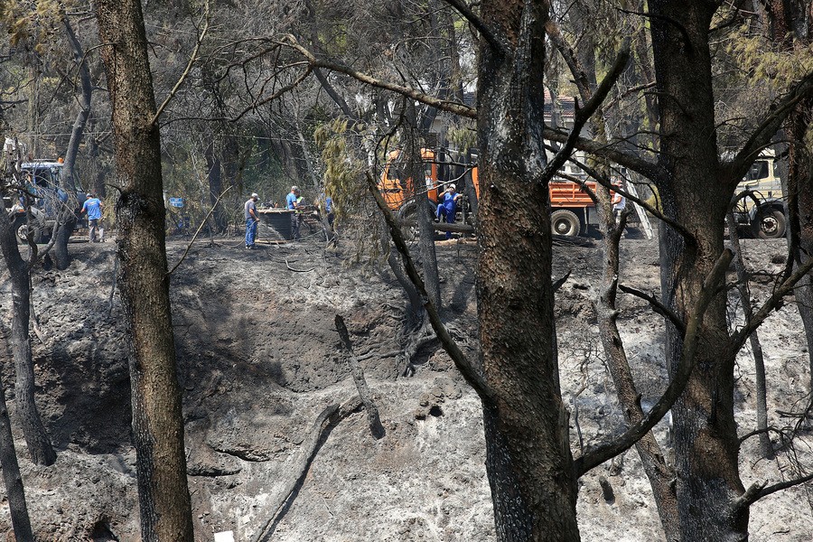 Καμένα δέντρα από την πυρκαγιά στη Βαρυμπόμπη το 2021 (ΑΠΕ-ΜΠΕ/ΟΡΕΣΤΗΣ ΠΑΝΑΓΙΩΤΟΥ)