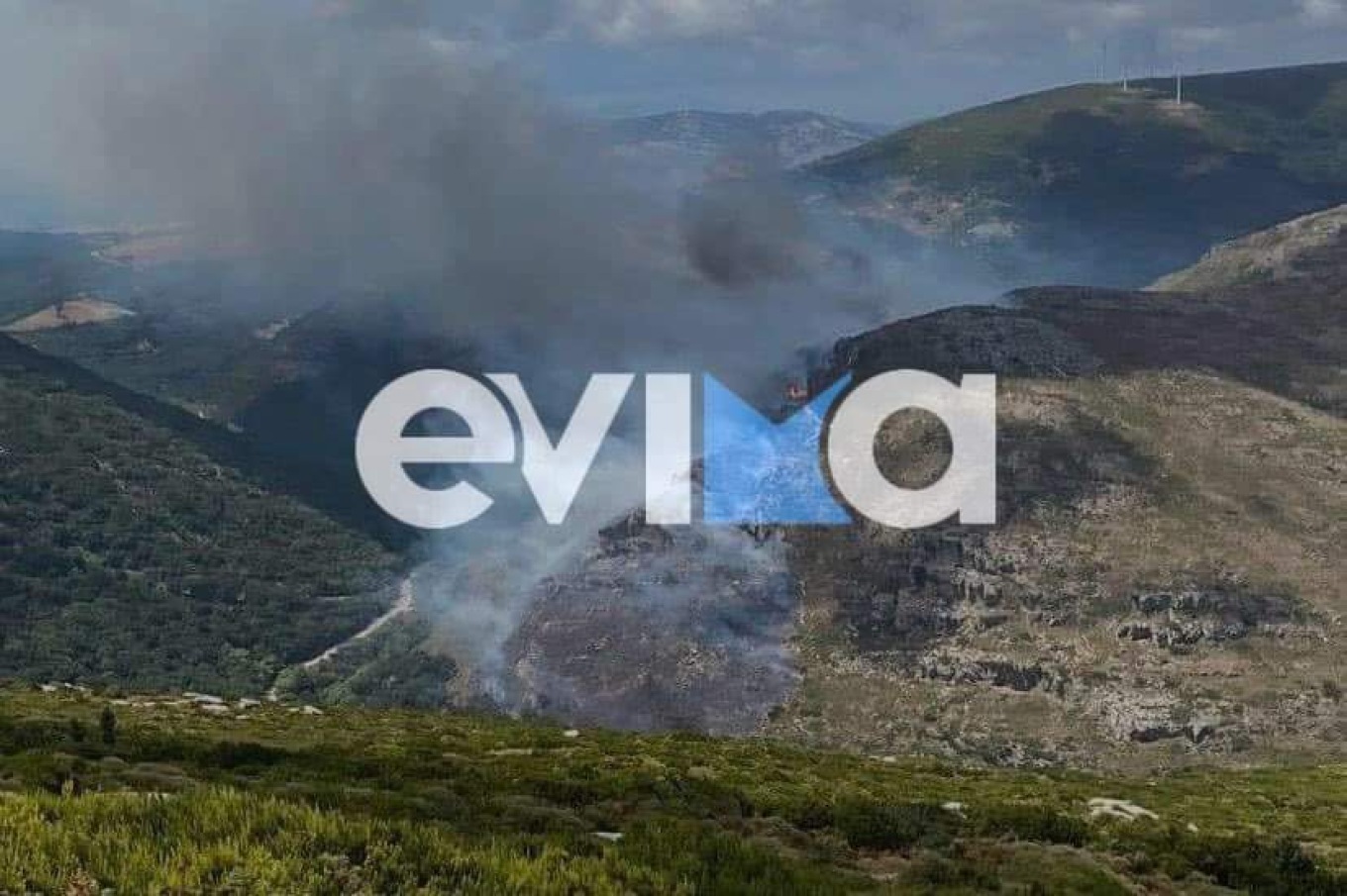 Φωτιά τώρα στην Κάρυστο: Καίει δασική έκταση σε δύσβατη περιοχή