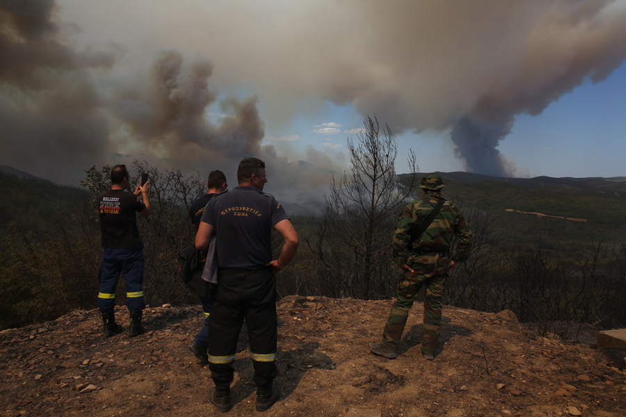 Πυροσβέστες βλέπουν φωτιά στο βάθος, να καίει έκταση στο δάσος της Δαδιάς