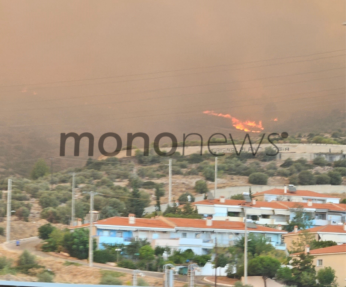 Αποκλειστικές εικόνες του mononews από τη φωτιά που ξέσπασε στην περιοχή της Φυλής στις 22 Αυγούστου 2023.