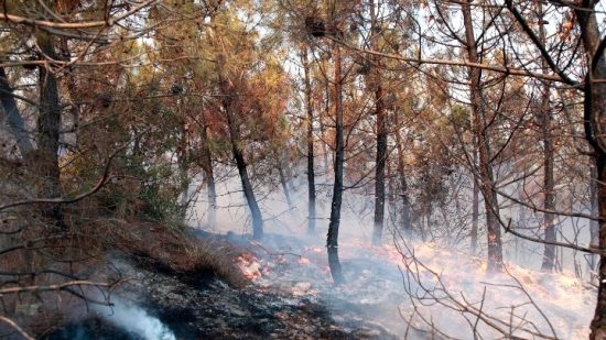 Φωτιά στον Έβρο: Μήνυμα από το 112 στη Λευκίμμη