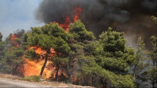 Υπό μερικό έλεγχο η πυρκαγιά σε δασική έκταση στον Μαραθώνα