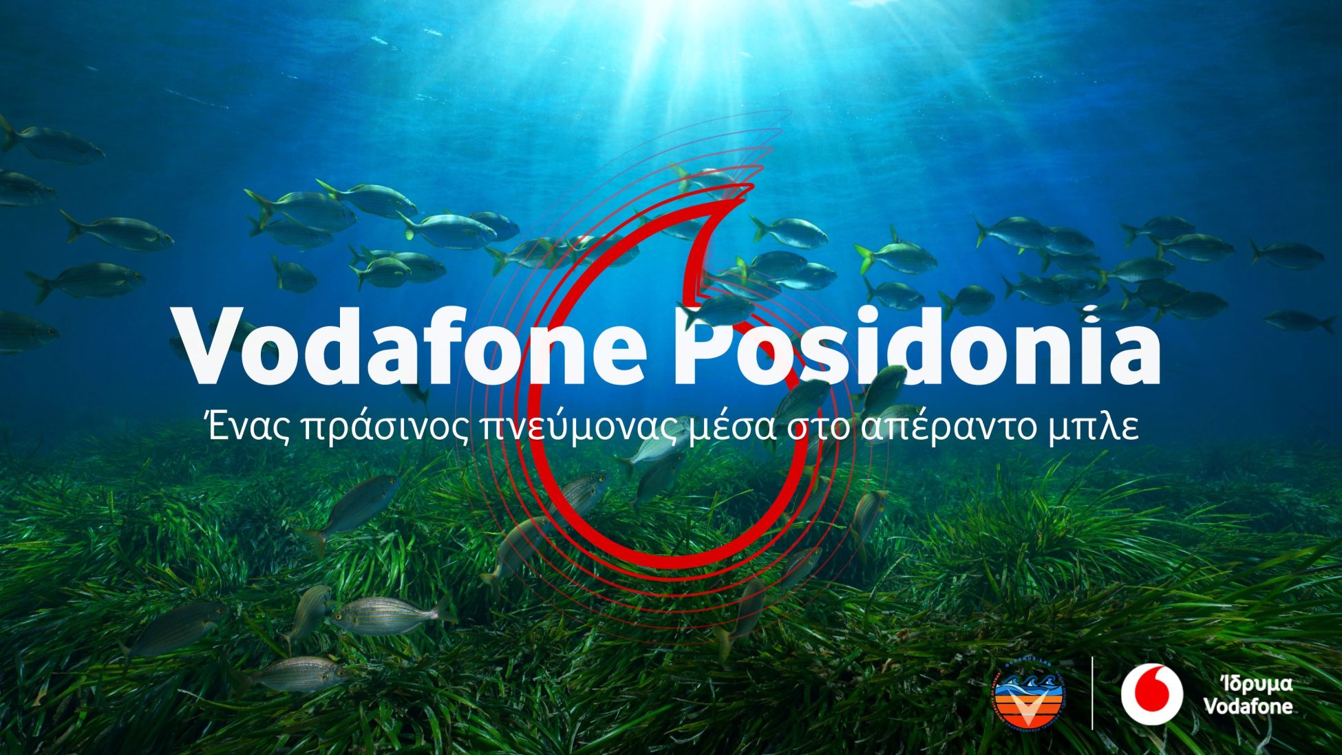 VODAFONE POSIDONIA: Ολοκληρώθηκε επιτυχώς η χαρτογράφηση της Ποσειδωνίας στη Σύρο